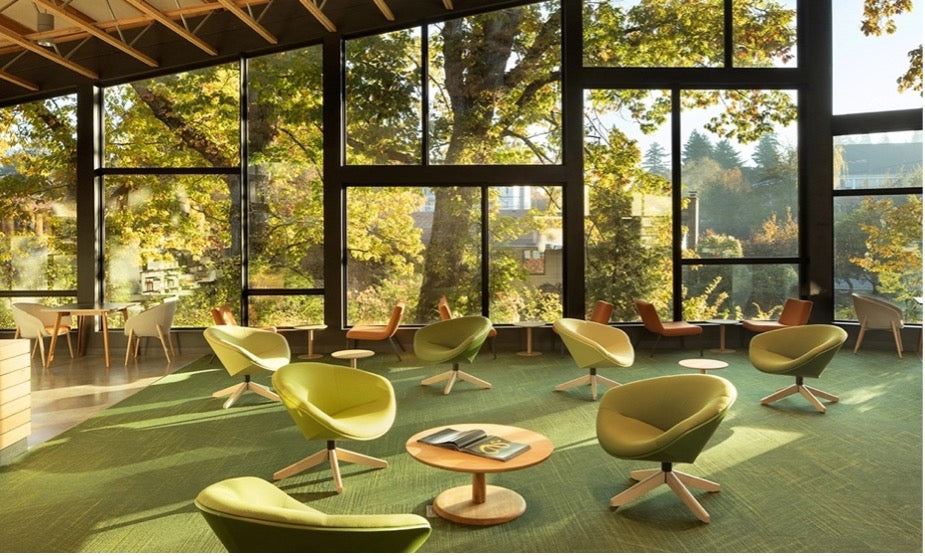 Qu’est-ce la biophilie et l’importance du design biophilique dans les ...