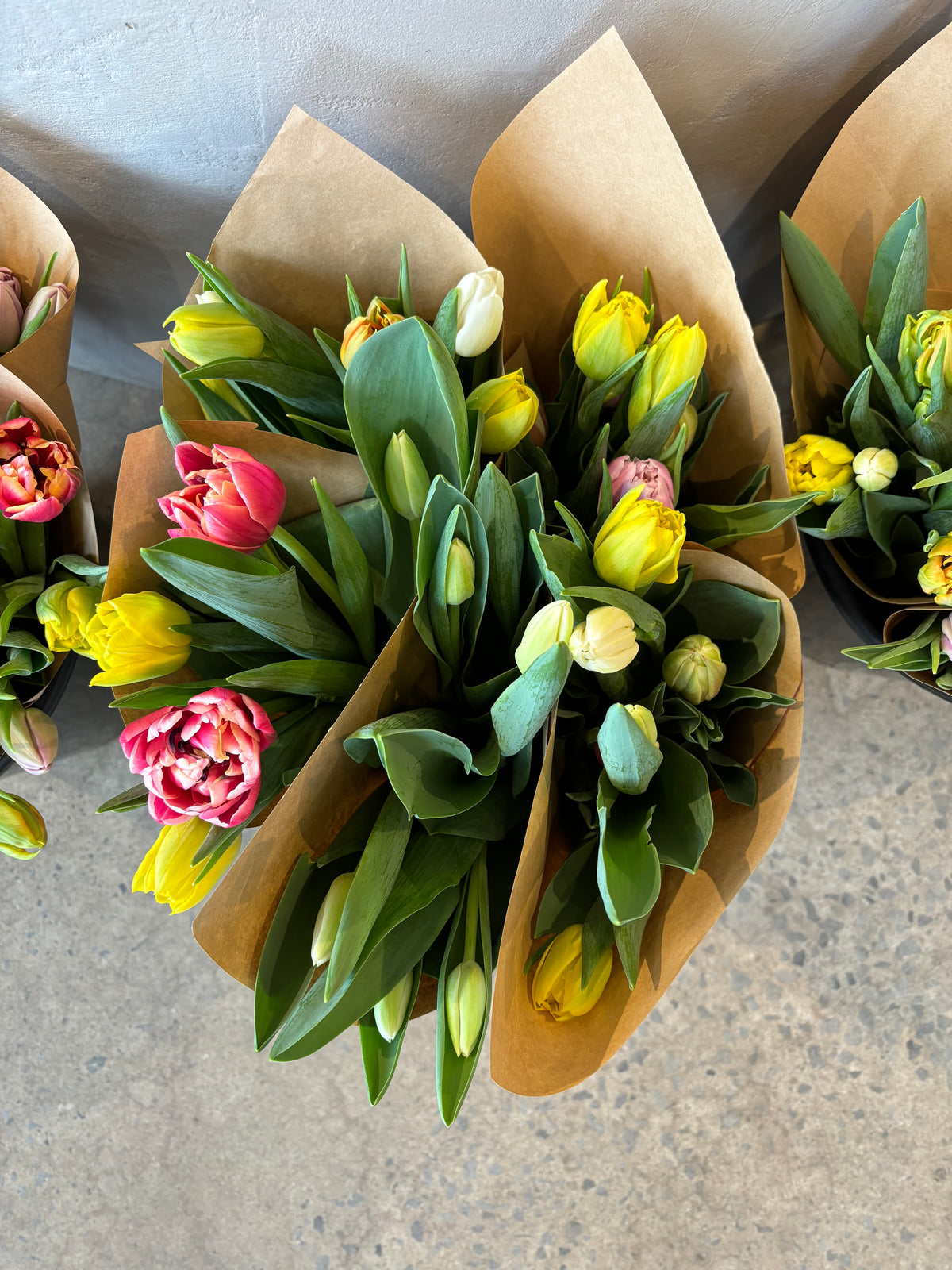 Bouquet de tulipes assorties