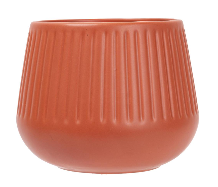 Pot Paloma