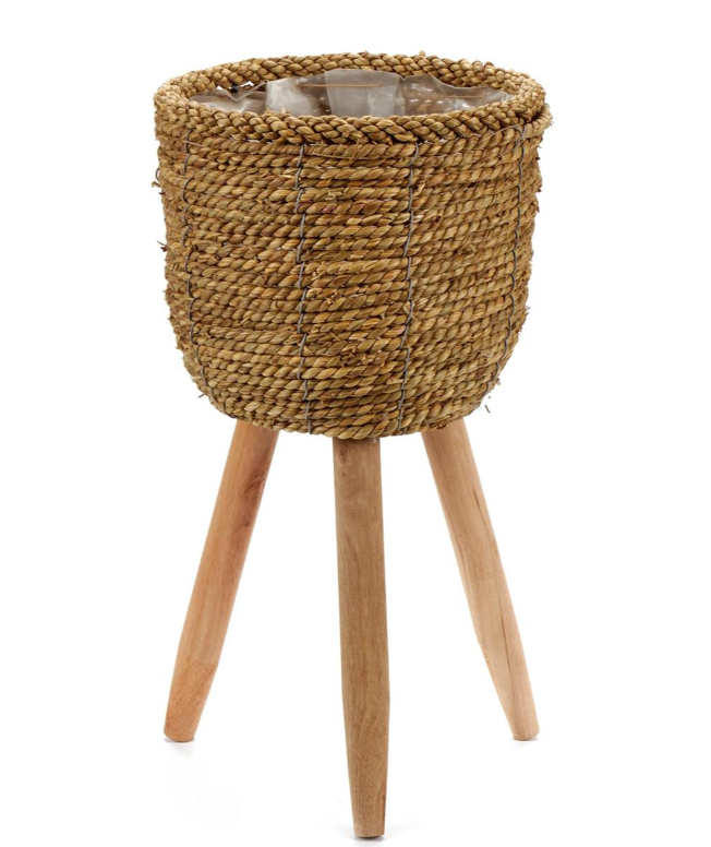 Pot Seagrass Stand