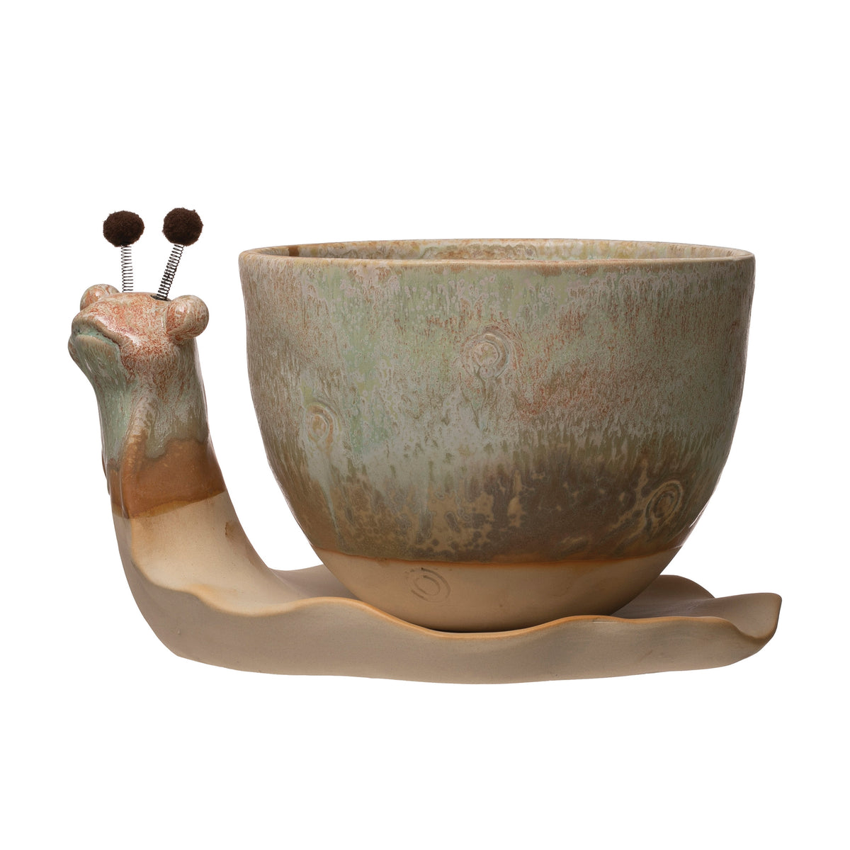 Pot Snail