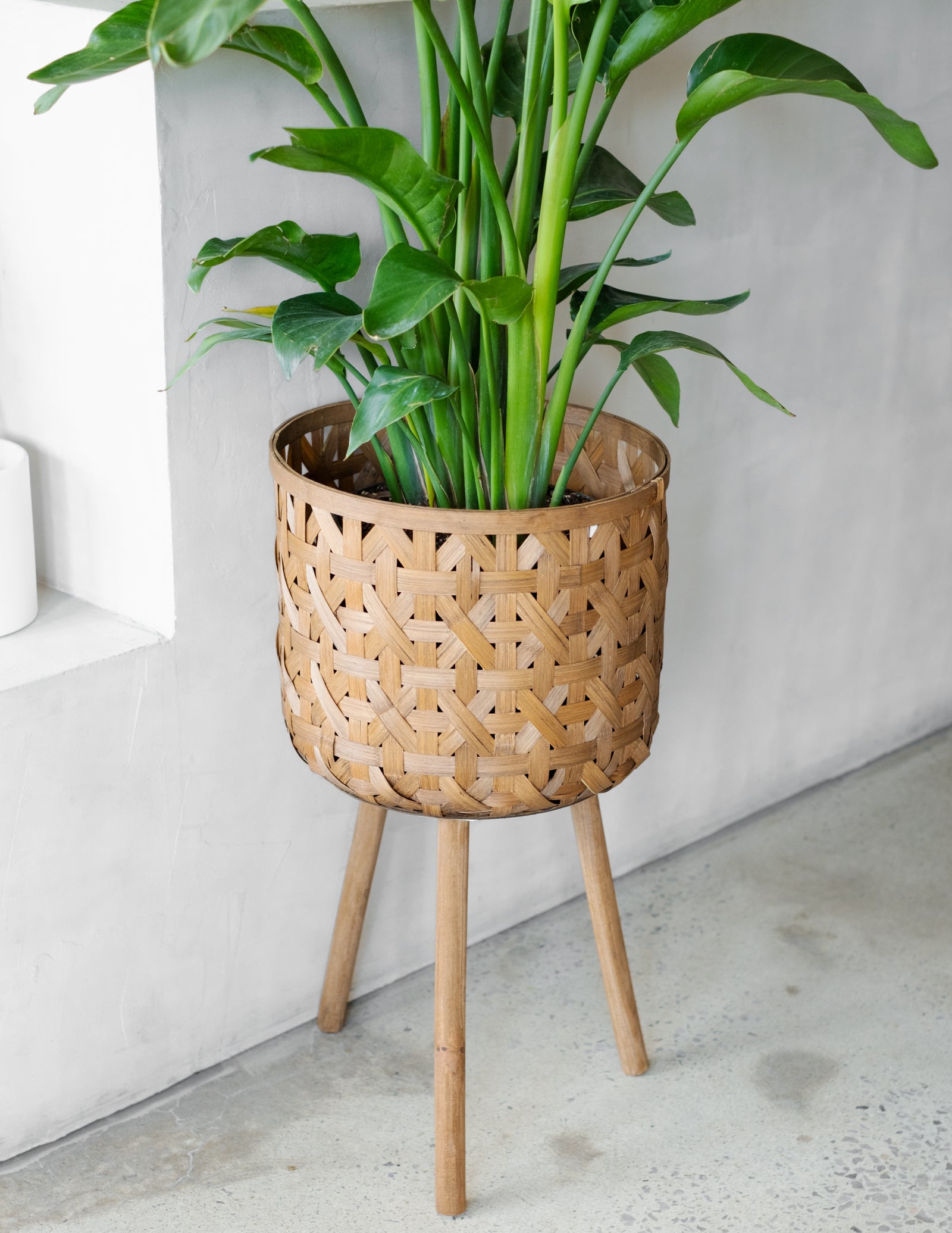 Panier Bam