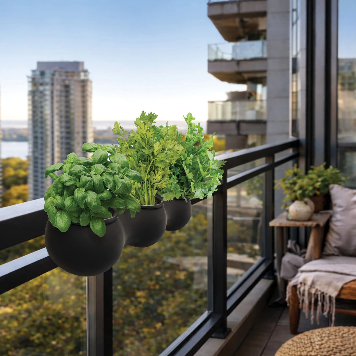 NUAGE noir — 3 modules sur rambarde de balcon avec fines herbes