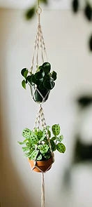 Jardinière en macramé L'Étonnante