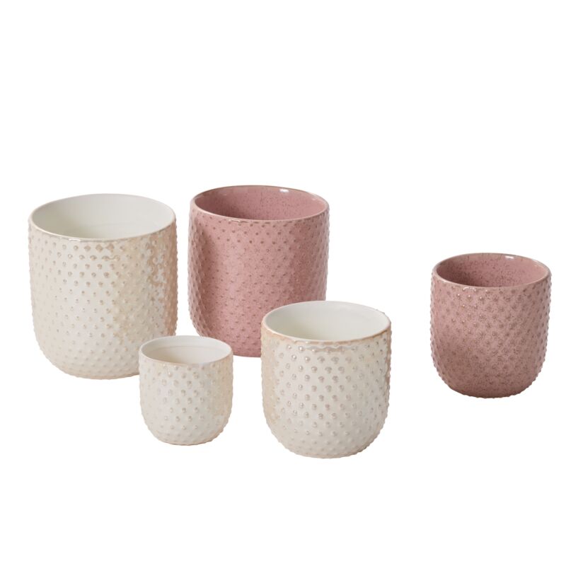 Pot Everly