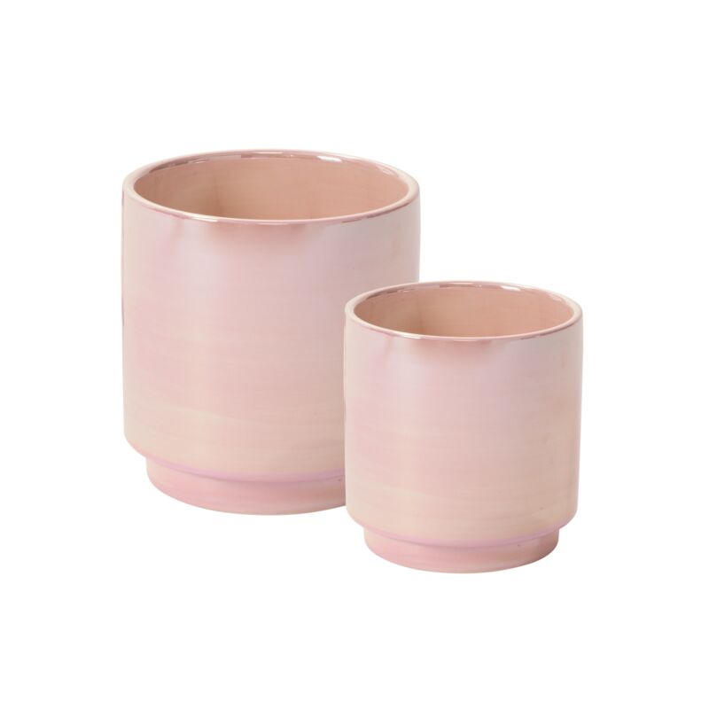 Pot Passion