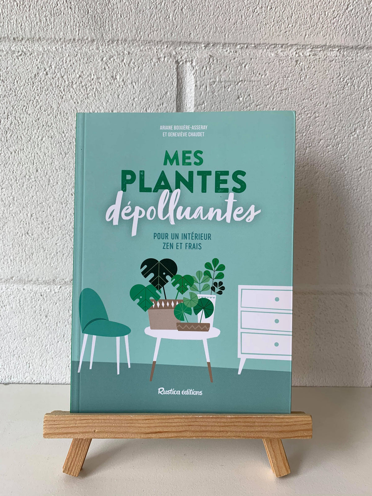 Livre « Mes plantes dépolluantes pour un intérieur zen » 