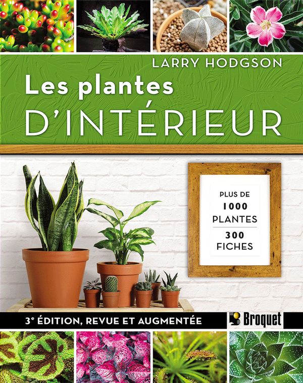 Livre Les Plantes D int rieur 3e dition Folia Design livre-les-plantes-d-int-rieur-3e-dition-folia-design