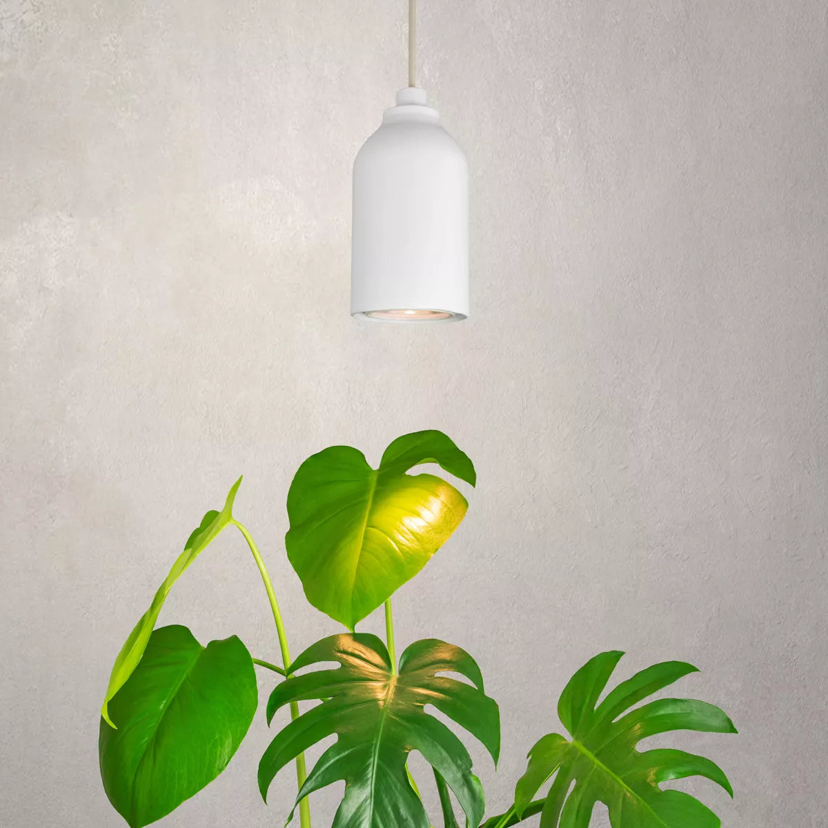 Lampe de croissance Margot - Folia Design