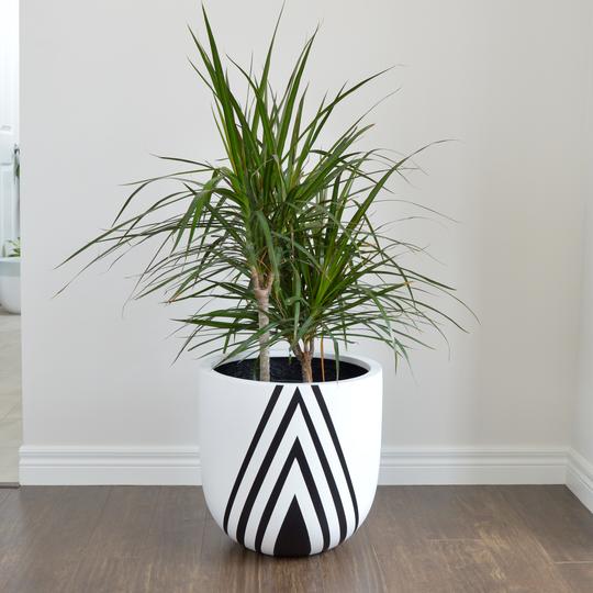 Pot Diamant « Common House Studio »