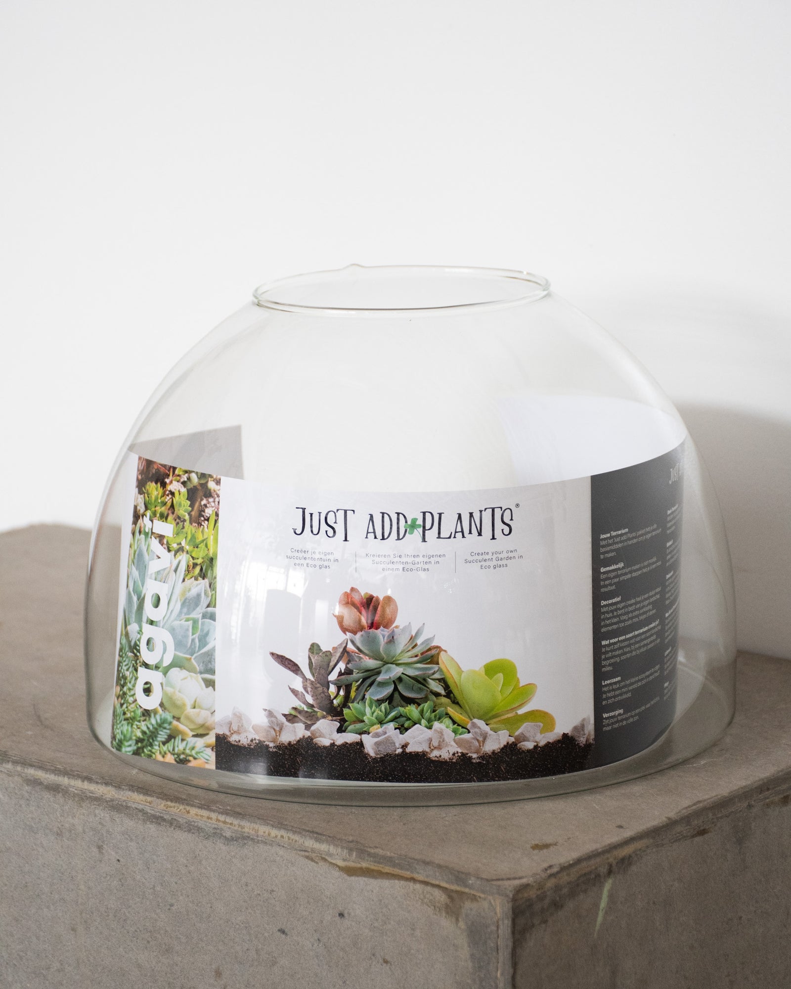 Ensemble Terrarium