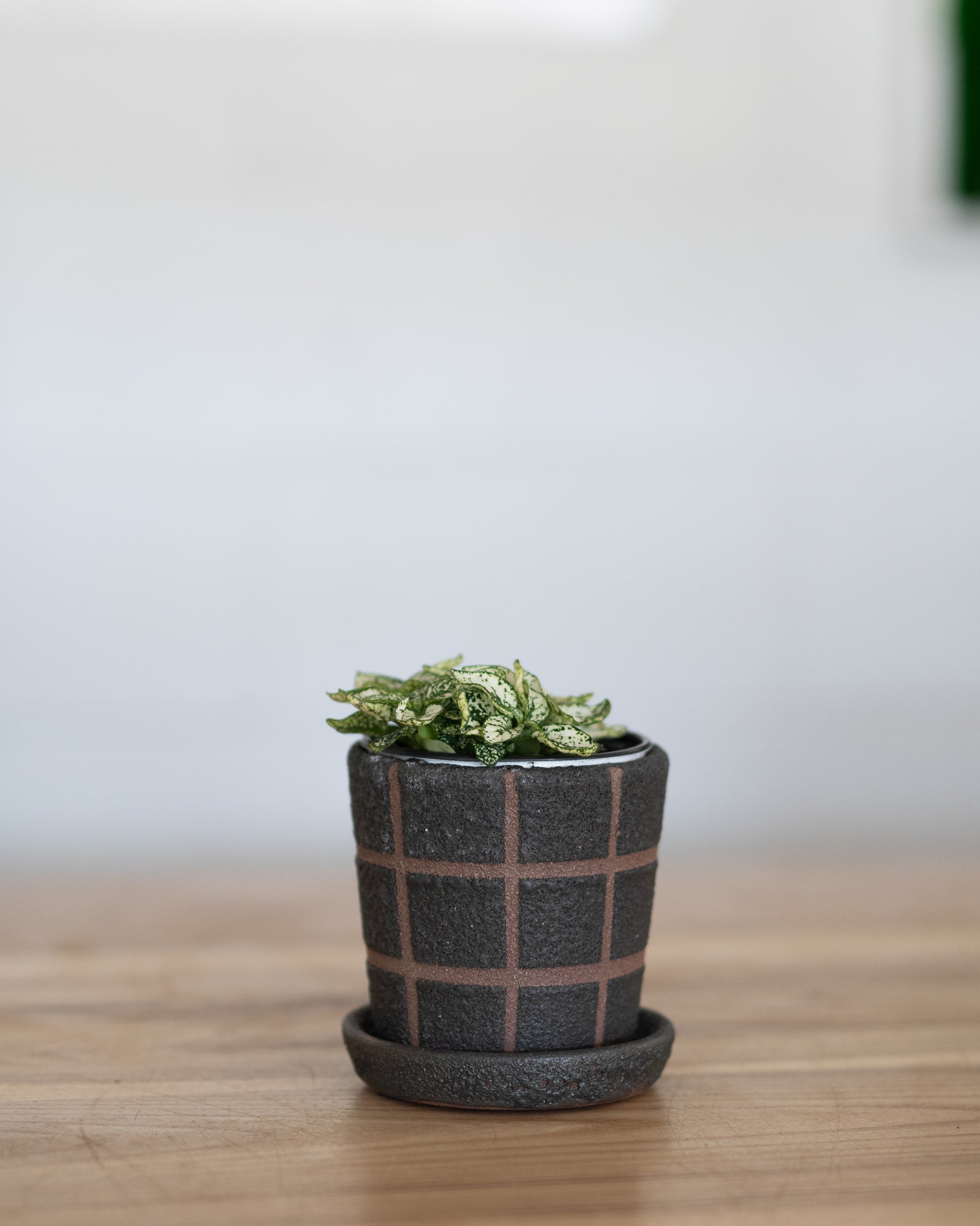 Pot Grid