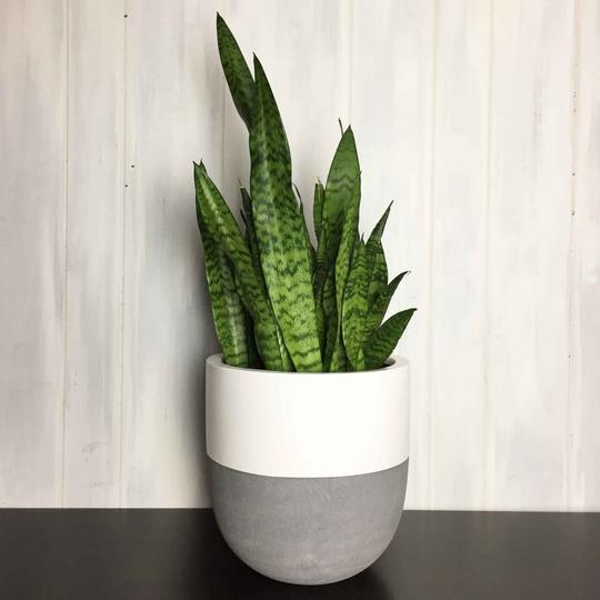 Pot Distinction « Common House Studio »