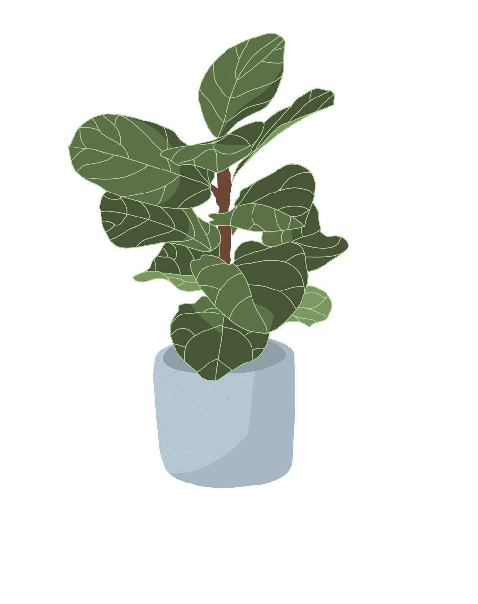 Illustration Alexandra Collin