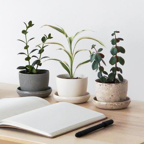 Mini pot