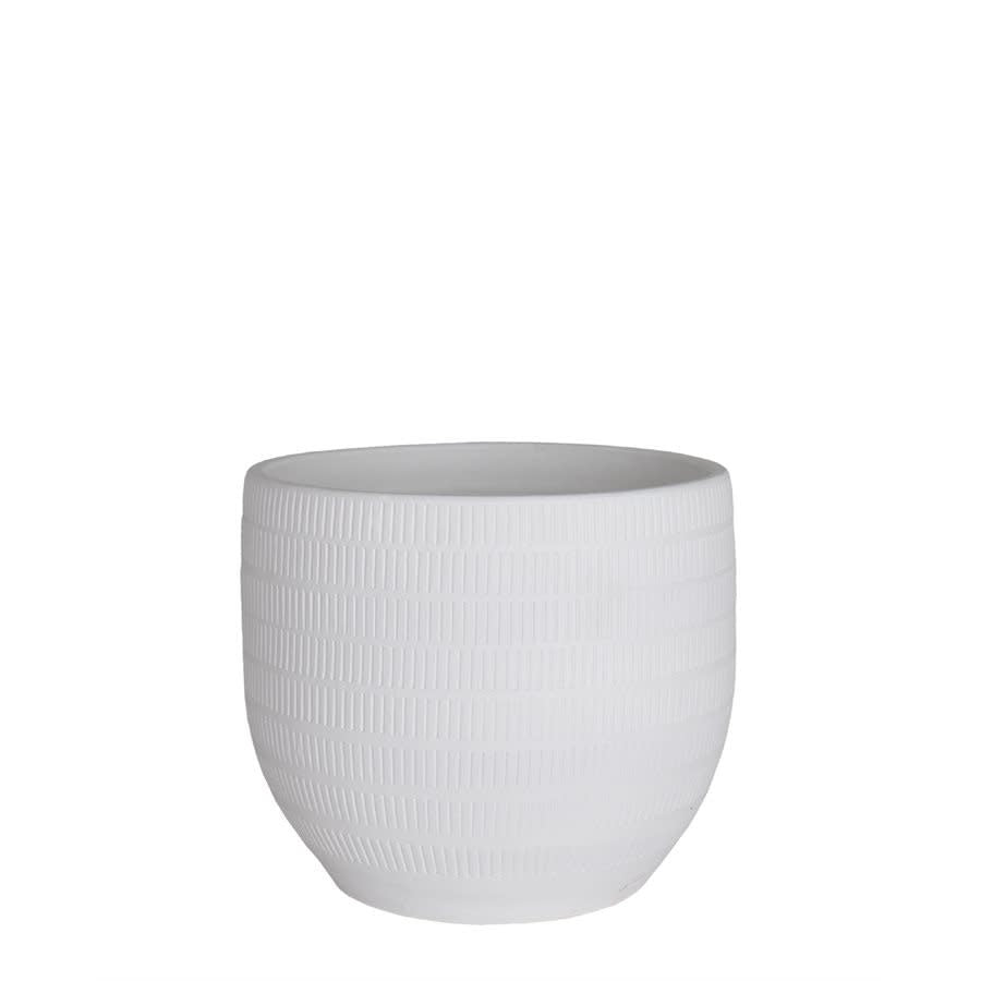 Pot Aura