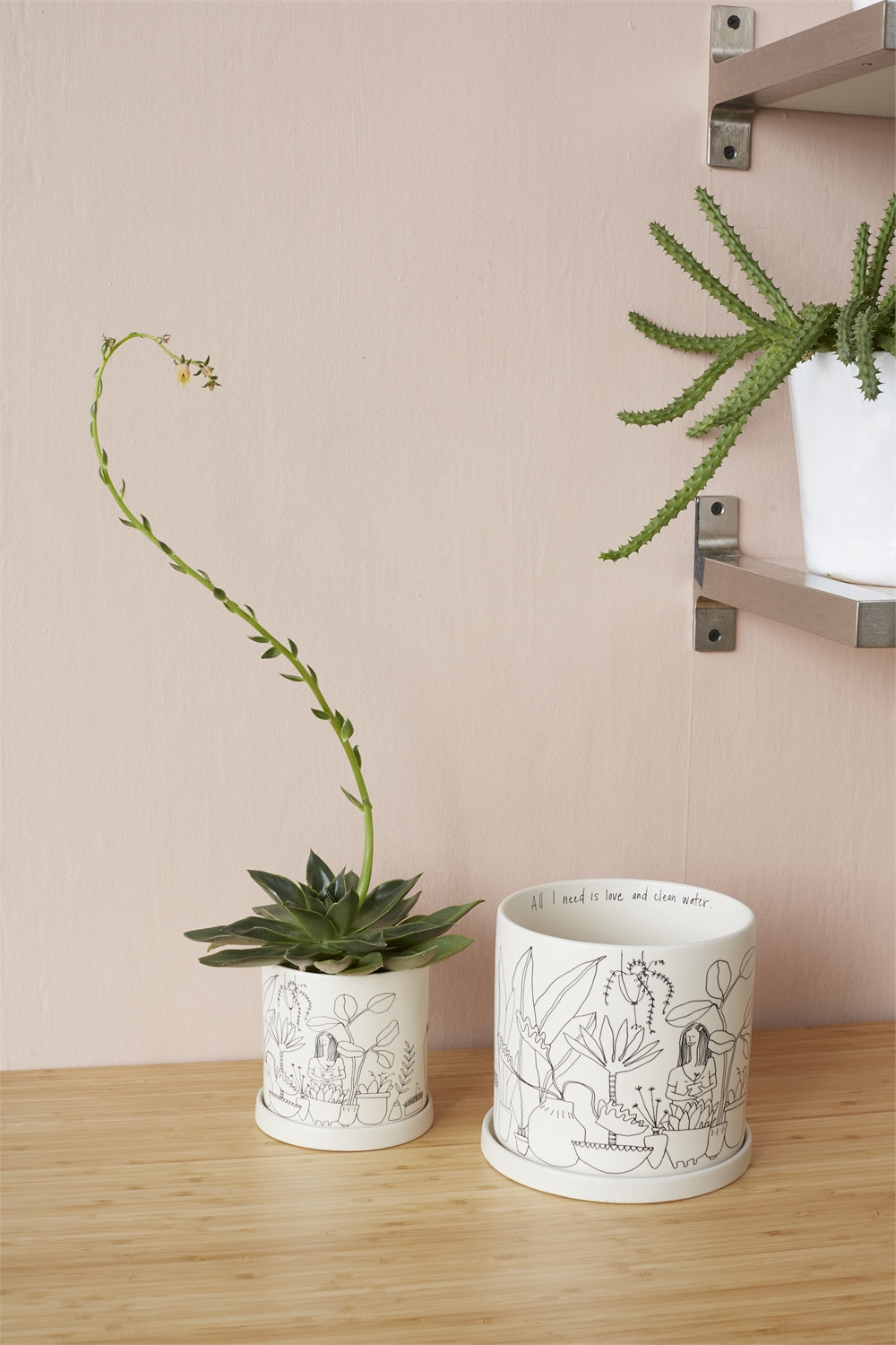 Pot « Plant Lady »