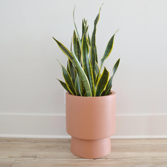 Pot Common house « High Rise » - Folia Design